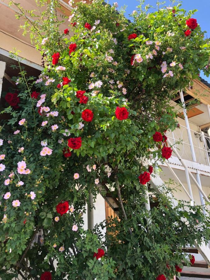 Гостевой Дом Айша Guest House Aisha Cholpon-Ata Exterior photo